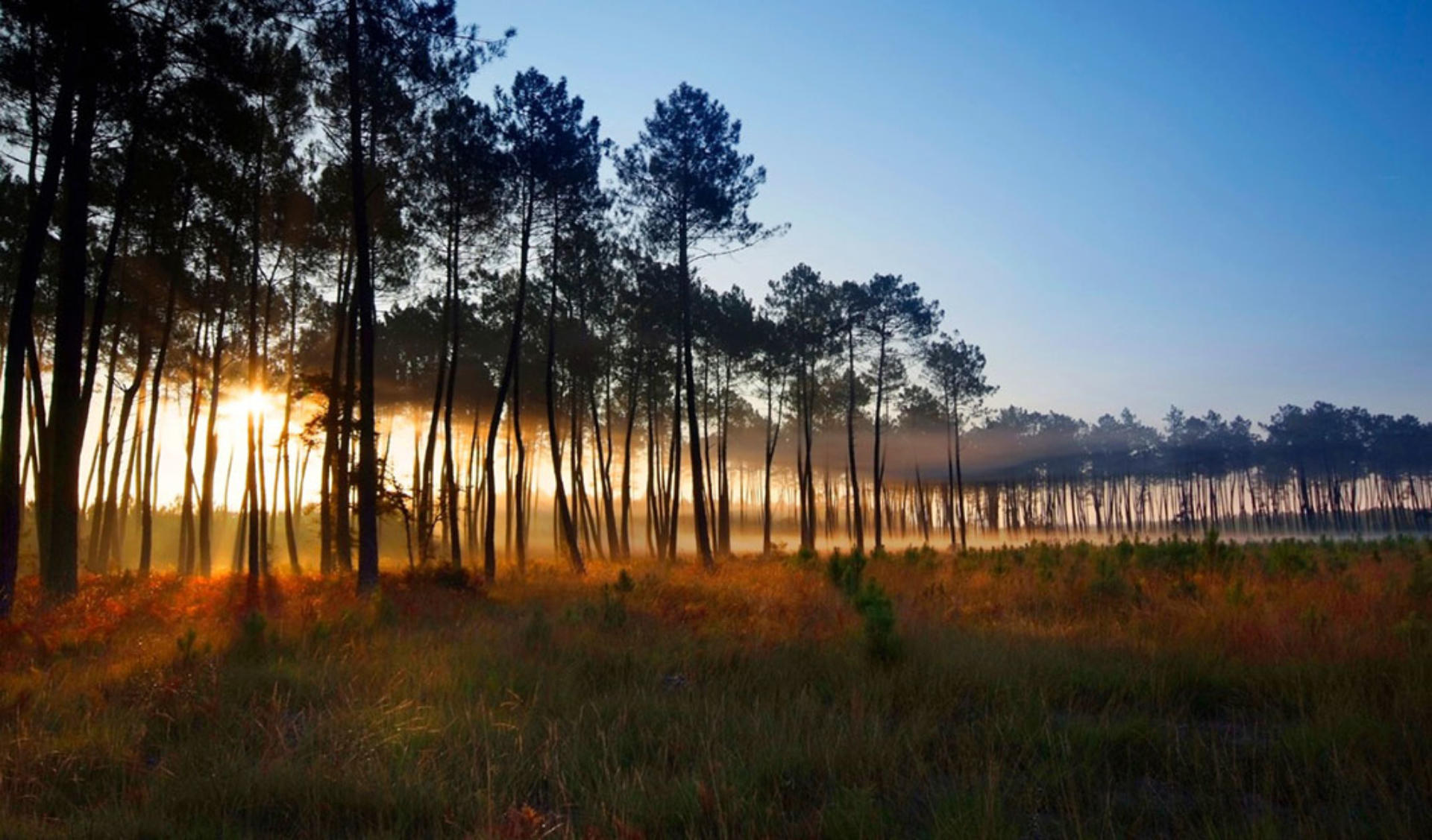 image des landes