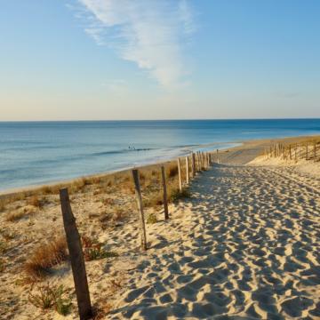 les landes plage photo des landes