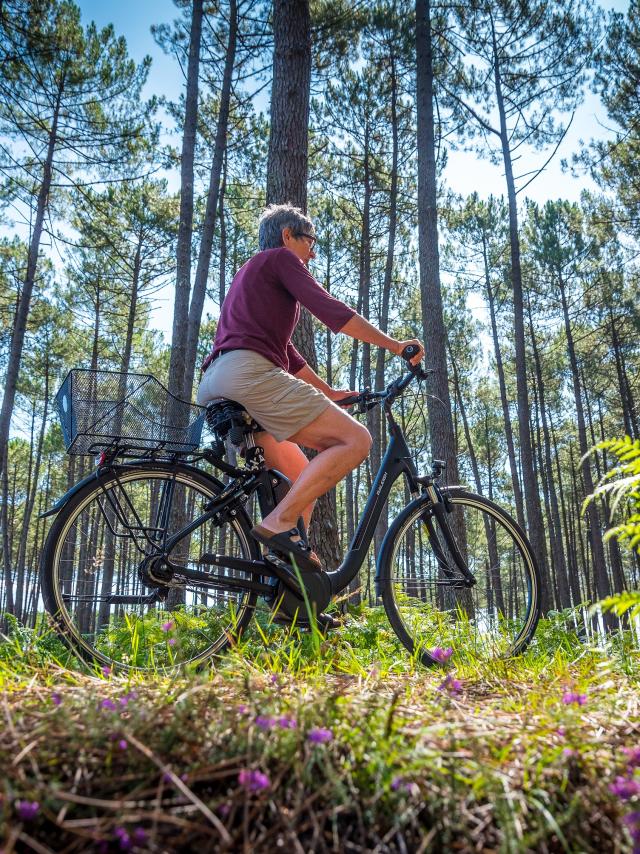 Balade à vélo en forêt | Côte Landes Nature Tourisme