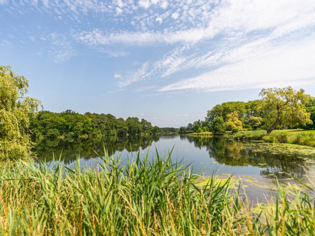 Lac d'Uza | Côte Landes Nature