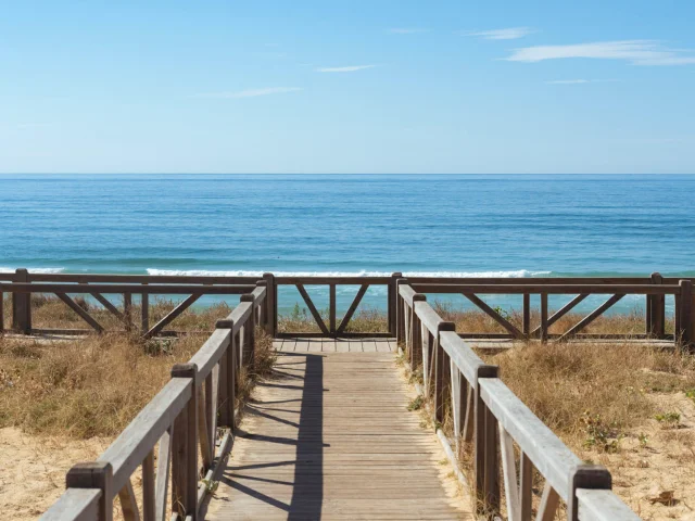 Plage du Cap de l'Homy | Côte Landes Nature Tourisme