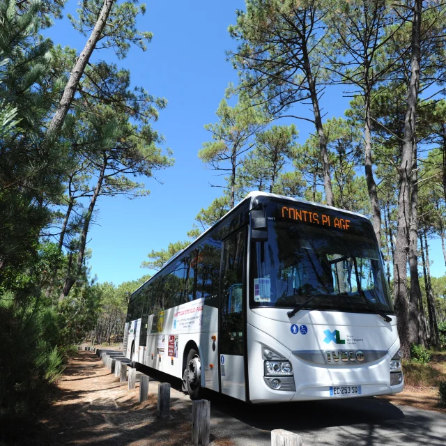 Navettes gratuites Ville-Plage | Côte Landes Nature Tourisme
