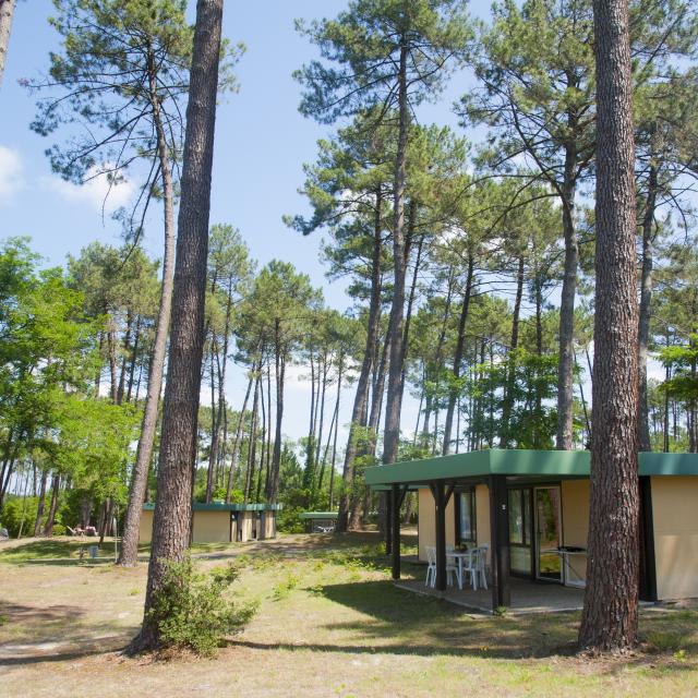 Le Village sous les Pins à Léon | Côte Landes Nature